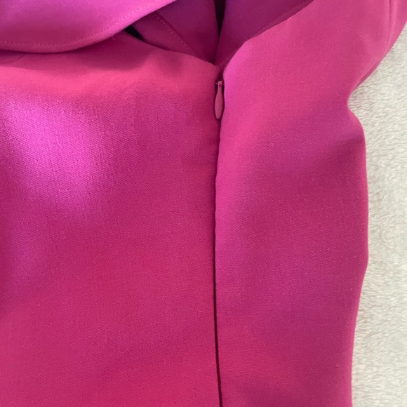 Likely Fuchsia Ruffle Mini Dress - Picture 7 of 10